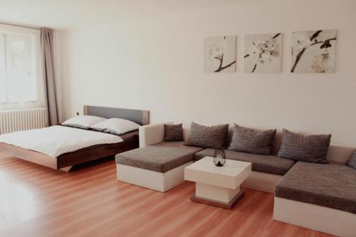 Brloh Apartment | U Potoka