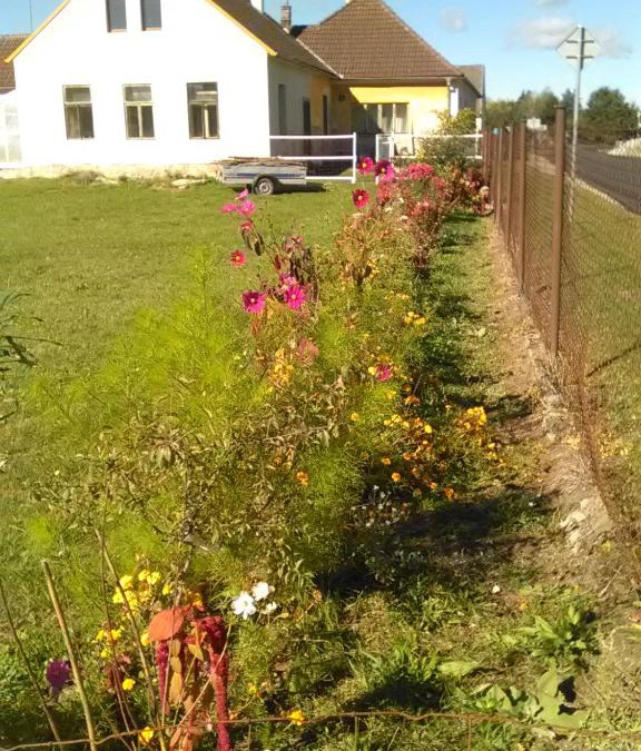 Dvory nad Luznici House | U Tupáčků