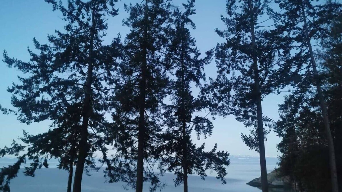 Powell River Apartment | U18 Seaside Serenity: Seal Bay Glamping Retreat
