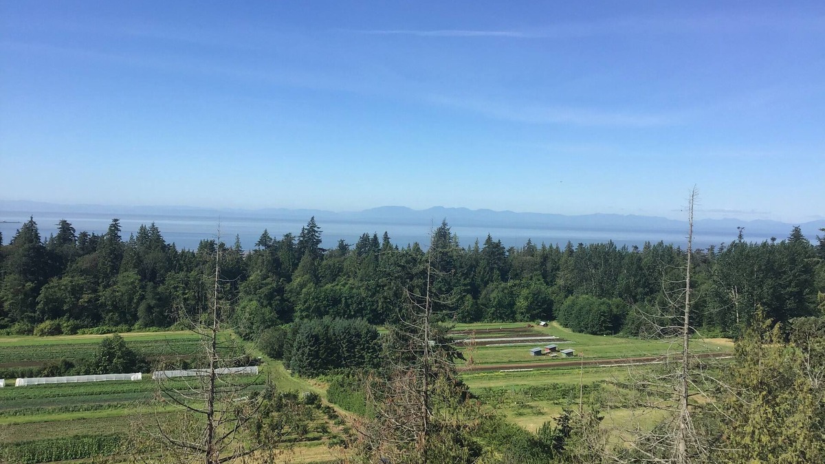 Vancouver Apartment | UBC Ocean View Brandnew Two Bed Room Condo