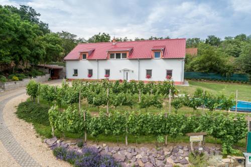 Dyje House | Ubytování Dyje