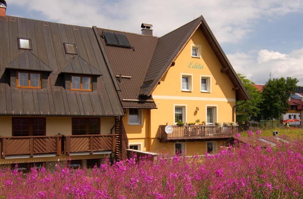 Bozi Dar House | Ubytování Edita