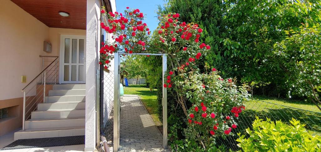Perna House | Ubytování Markéta