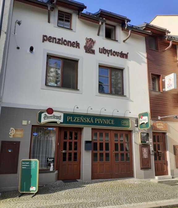 Hlinsko Hotel | Ubytování nad Bisonem