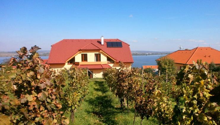 Pavlov House | Ubytování Pálavská Riviéra