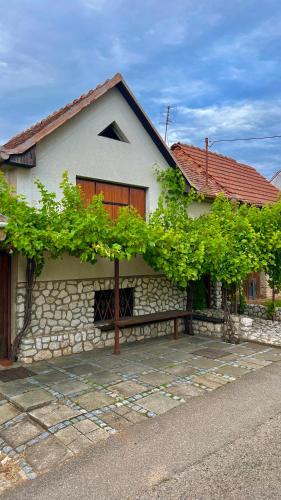Velke Bilovice House | Ubytování Pod Hrozny