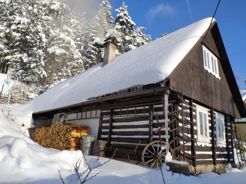 Koberovy Ski Chalet | Ubytování Roubenka