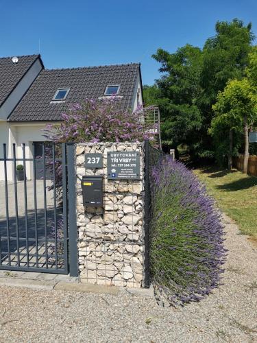 Pasohlavky House | Ubytování Tři Vrby