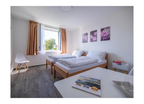 Bohutice House | Ubytování V Panské zahradě