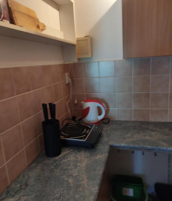 Horka u Stare Paky Apartment | ubytování v zastávce