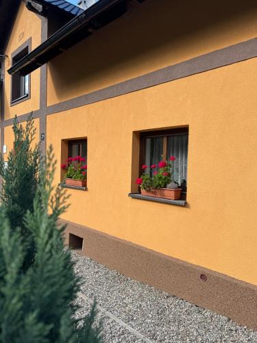 Jesenik Apartment | Ubytování za babku s infrasaunou