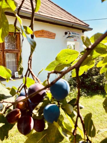 Male Trakany House | Ubytovanie u Aranky