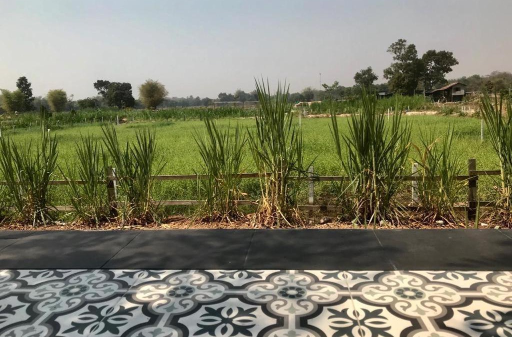 Sakhrai Bed & Breakfast | Udon Farm Fun Homestay with swimming pool