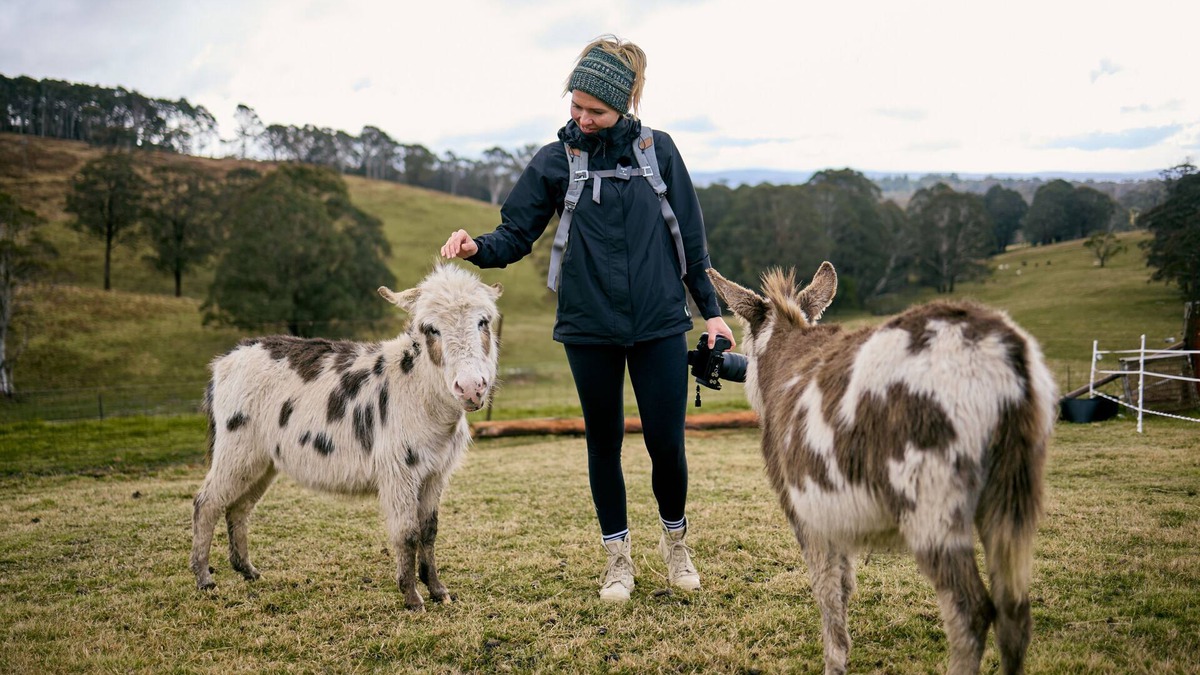 Jenolan Other | Ultimate farmstay experience - 5 minutes from Jenolan