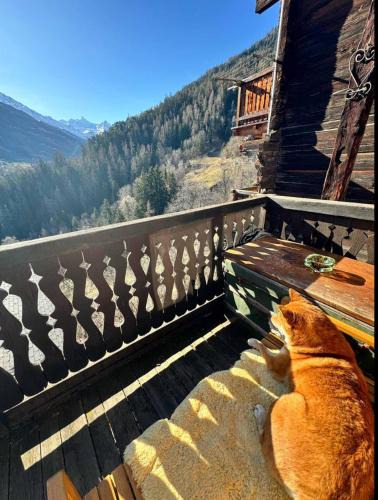 Lauenen Bei Gstaad Ski Chalet | Un nid au paradis - Chalet traditionnel avec beaucoup de cachet