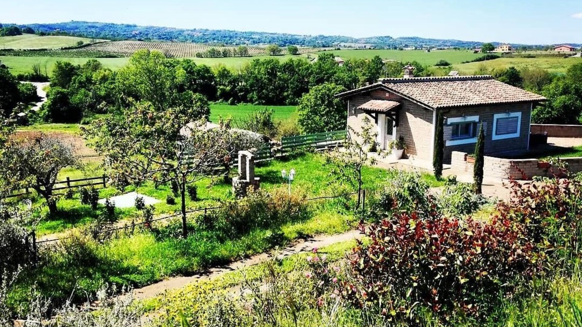 Mazzano Romano Cabin | una casa immersa in 2 ettari di verde con piscina e zona wellness privata