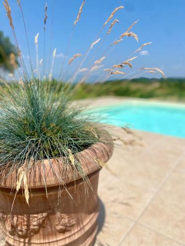 Soriano nel Cimino Bed & Breakfast | Una Scelta, more than just a room
