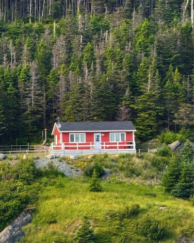 Terra Nova House | Uncle Len's Cabin