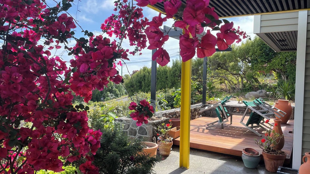 Mount Pleasant Apartment | Under the Yellow Canopy, St Andrews Hill Road, Mt Pleasant, Christchurch NZ