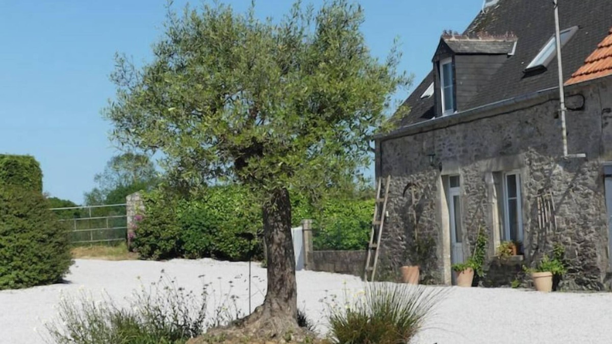 Le Vast House | Une ode à la Nature