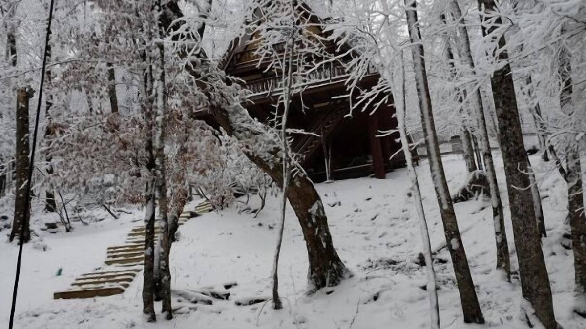 Beech Mountain Cabin | Unforgettable Dreams
