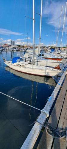 Hoganas Boat Rental | Unique boat 1