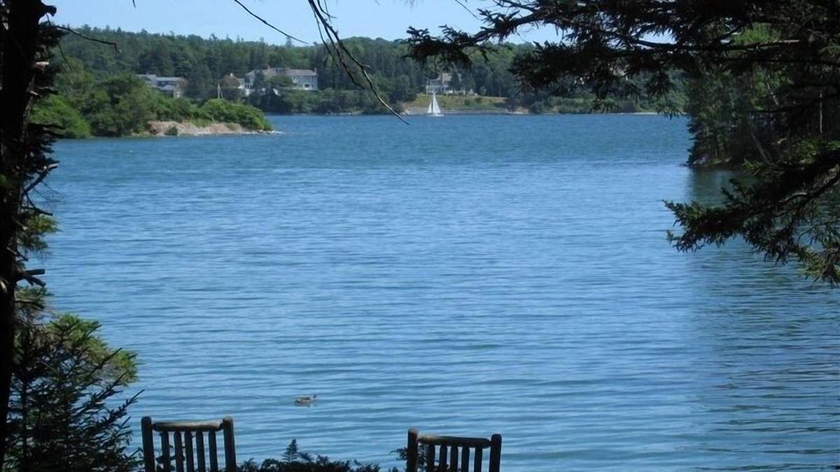 Southwest Harbor Cabin | Unique Cove Side Cabin on Somes Sound Next to Babbling Brook