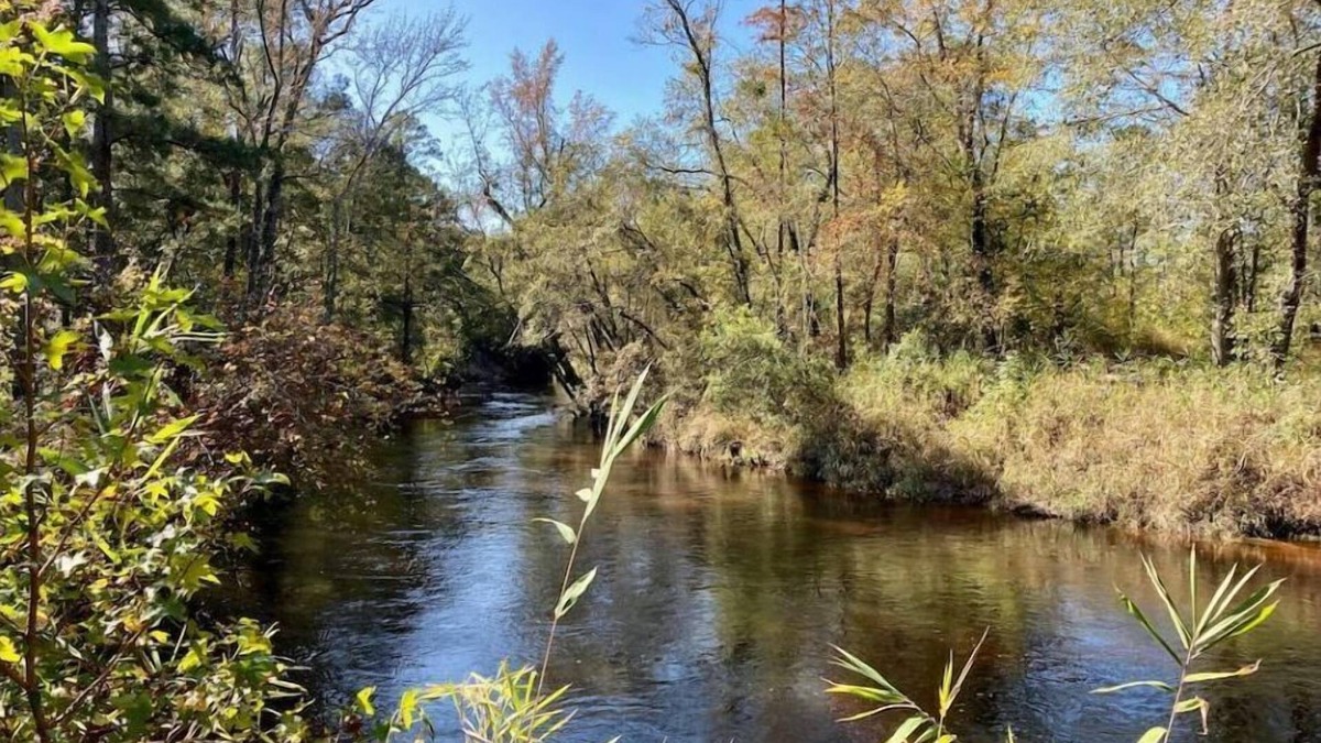 South View House | Unique Creekside 2 acre property in Hope Mills, NC
