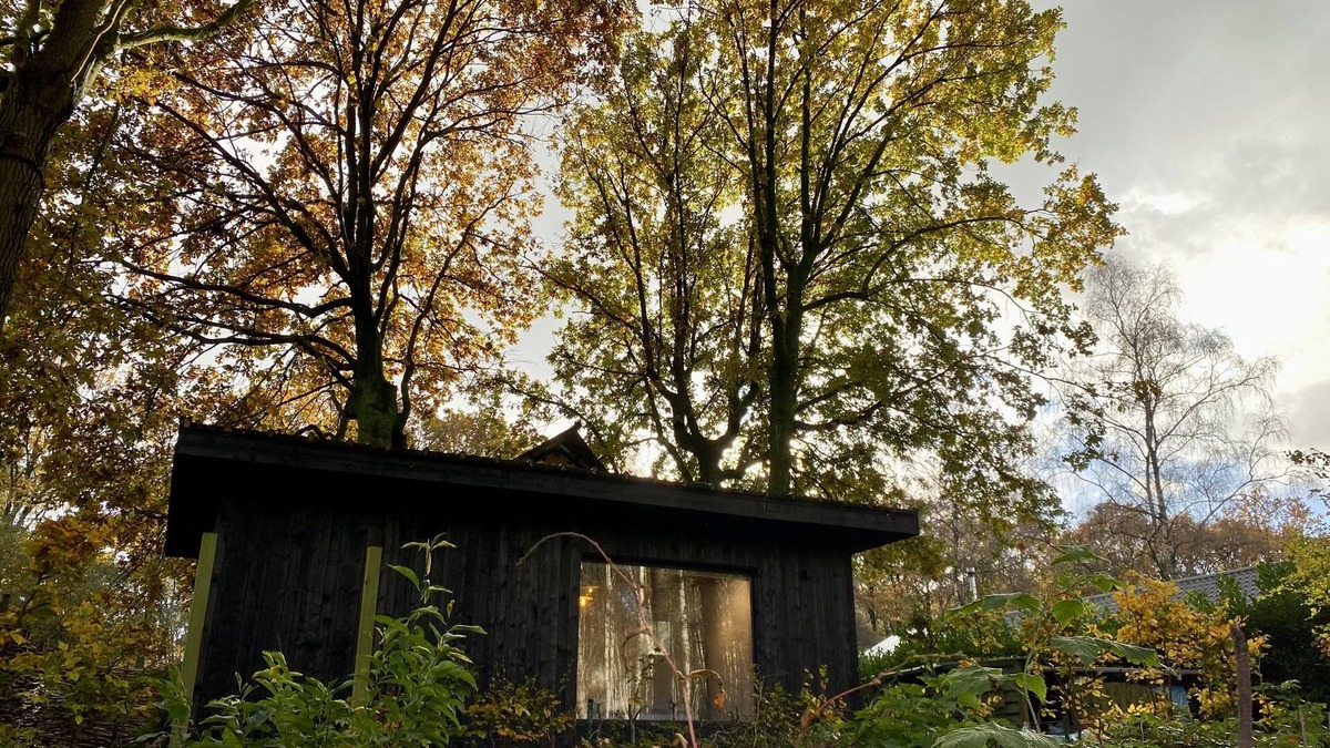 Wingene Cabin | Unique eco-lodge in the woods near Bruges, Ghent and the beach.