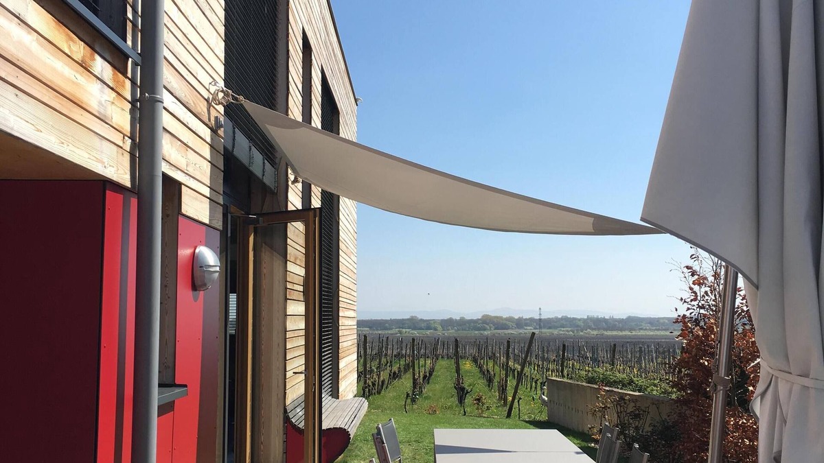 Bennwihr House | UNIQUE EXPERIENCE, Eco-House And High standing - 12 P, 5 bathroom - Wine road