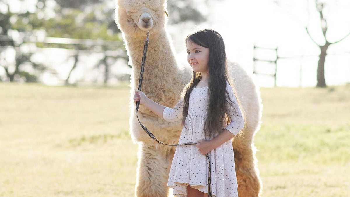 Lincoln Other | Unique Experience on a Working Alpacas Ranch.