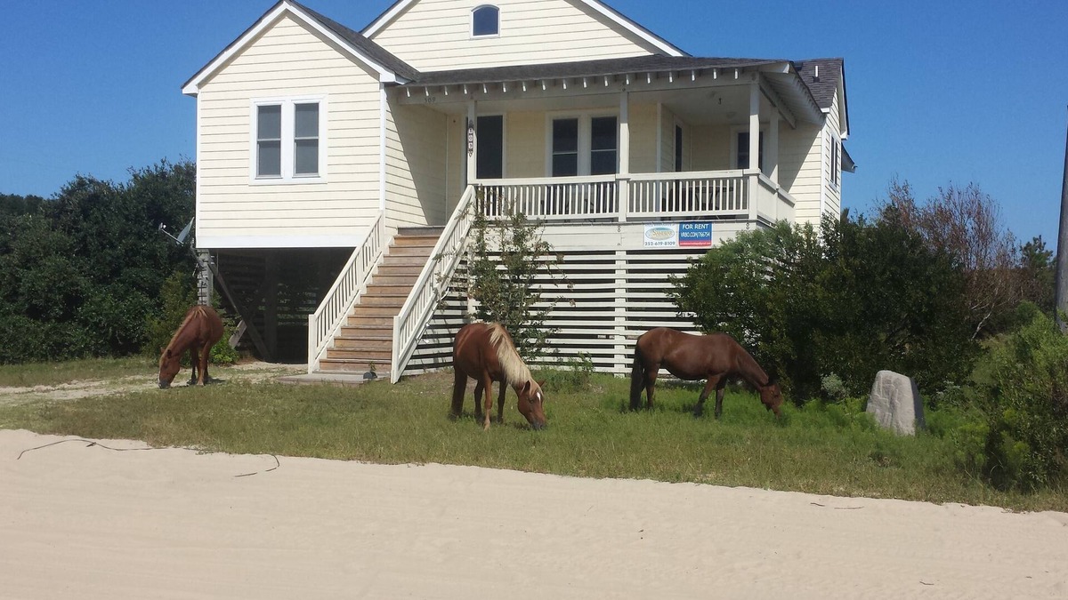 Corolla House | Unique Home In 4x4 Area Of Corolla where beaches are ranked #4 in America!