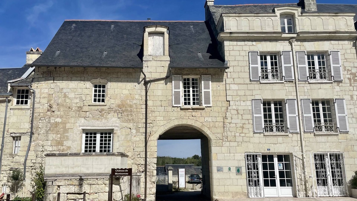 Montsoreau House | Unique house in Montsoreau between Saumur and Chinon
