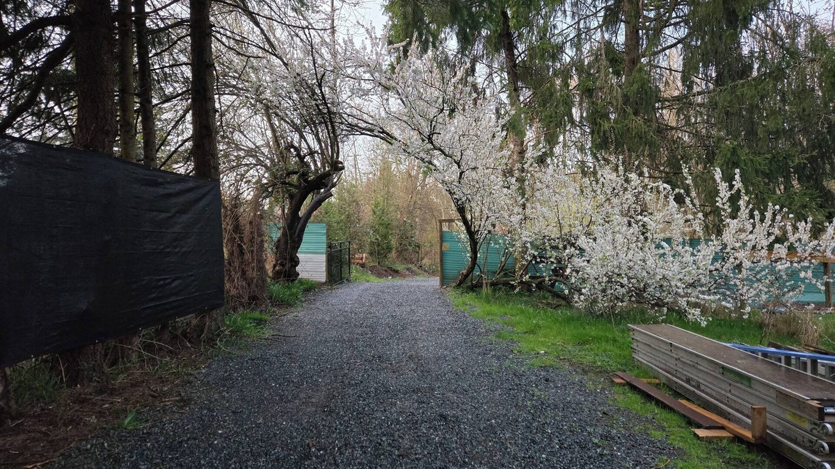Courtenay Cabin | unique loft space close to town, skiing, biking and hiking