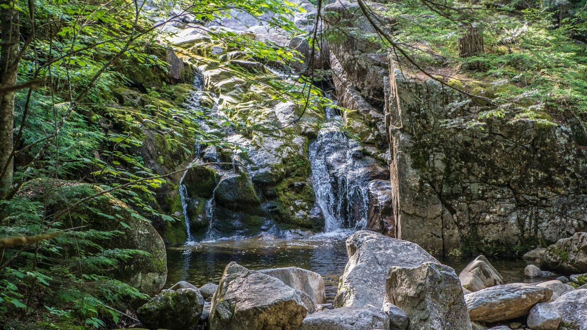 Chatham House | Unique Off-grid stay in the heart of the White Mountain National Forest