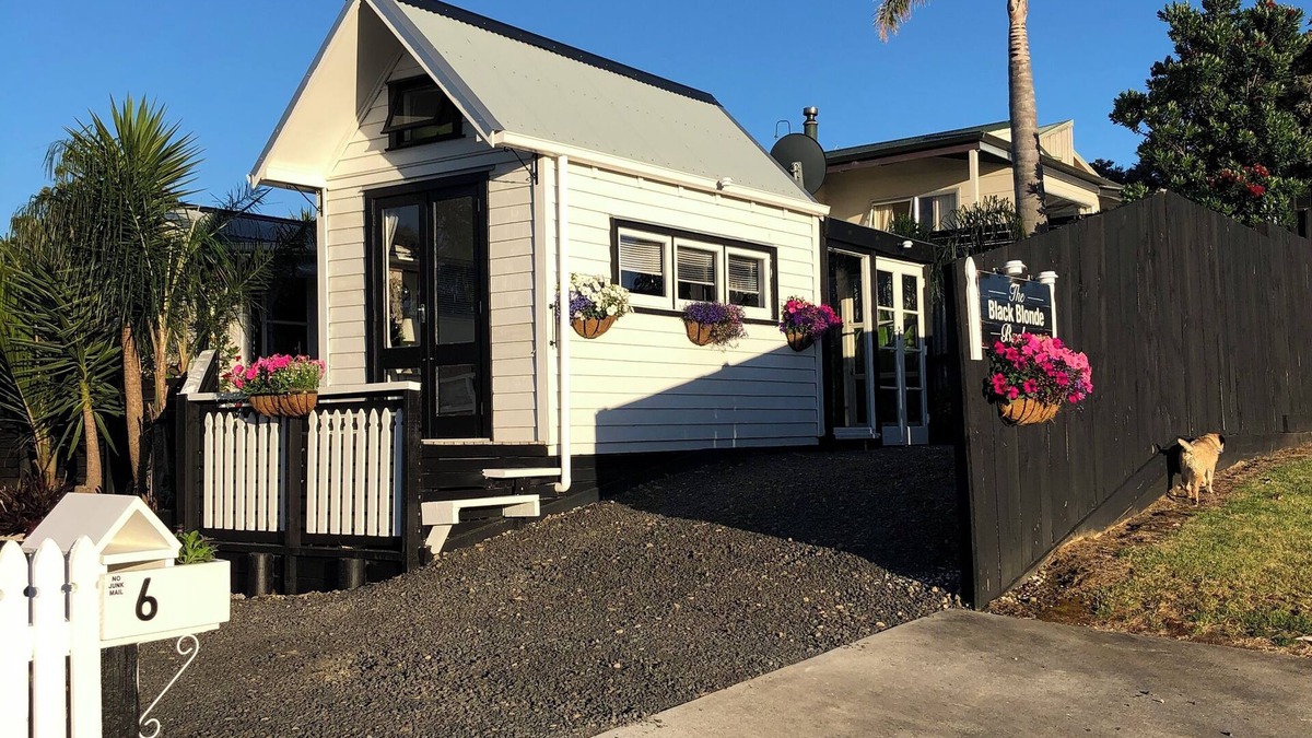 Whitianga Cottage | Unique Tiny homes with fabulous views and cosy internal courtyard.