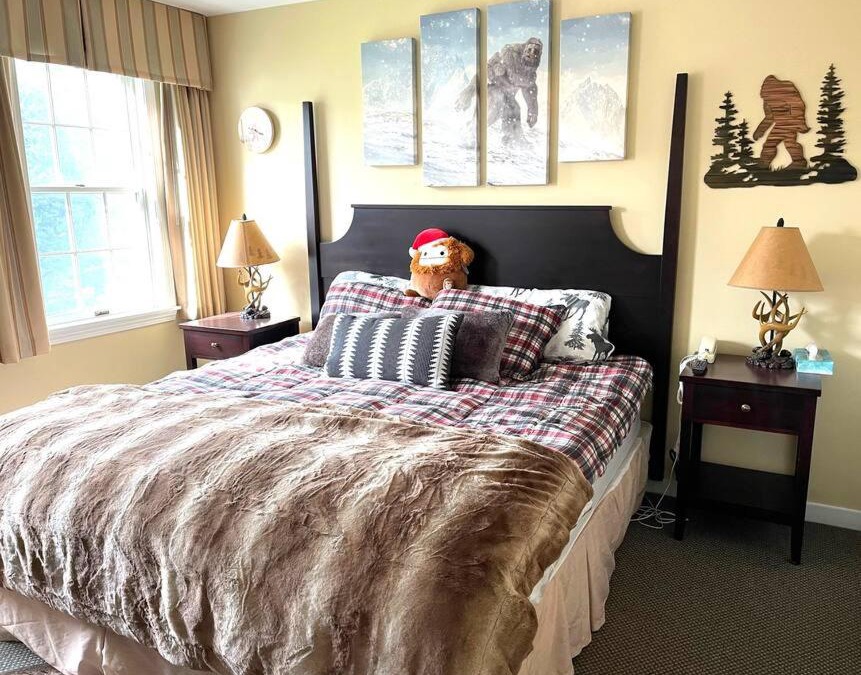 Hancock Apartment | Unique Yeti-Theme Ski On Off Suite Jiminy-Sleeps 4