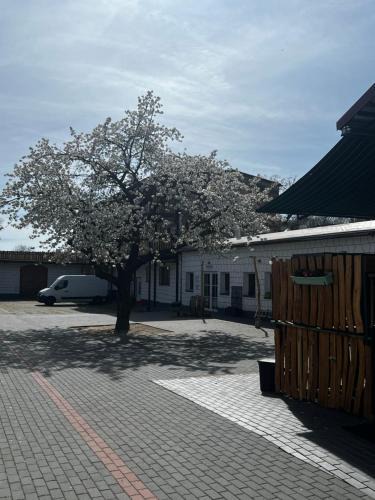 Bordeaue Apartment | Unseburger Brauhaus GmbH Ferienwohnung 2
