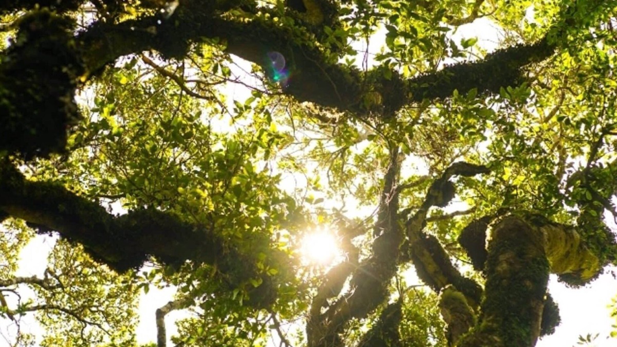 Stratford Apartment | Unwind @ Taranaki Relaxing Eco Suite