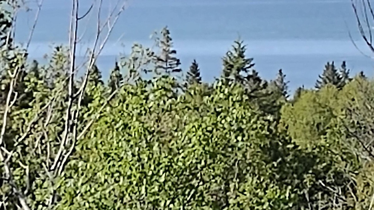 St Ignace Apartment | UP Mackinac Straits View Charming corporate apartment with WiFi by Saint Ignace.