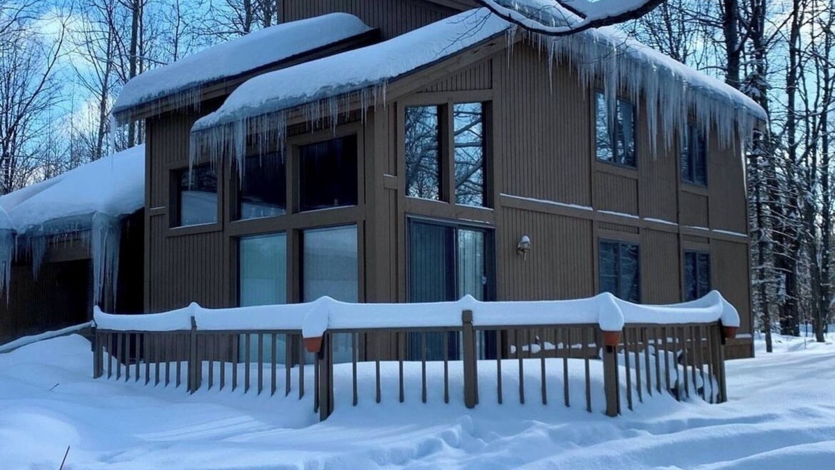 Elmira Cabin | Up North cabin in the woods: a perfect spot for nature lovers & adventurers!