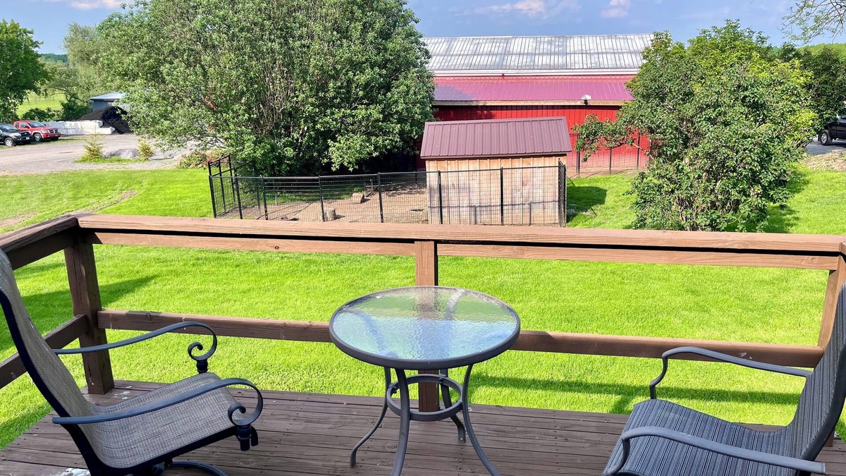 Holcomb Other | Updated farmhouse with the full animal experience.