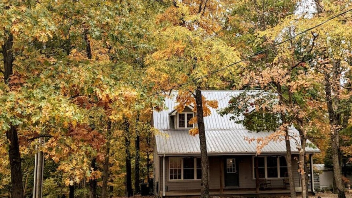 Falls of Rough Cabin | Updated lakefront cozy cabin on quiet cove