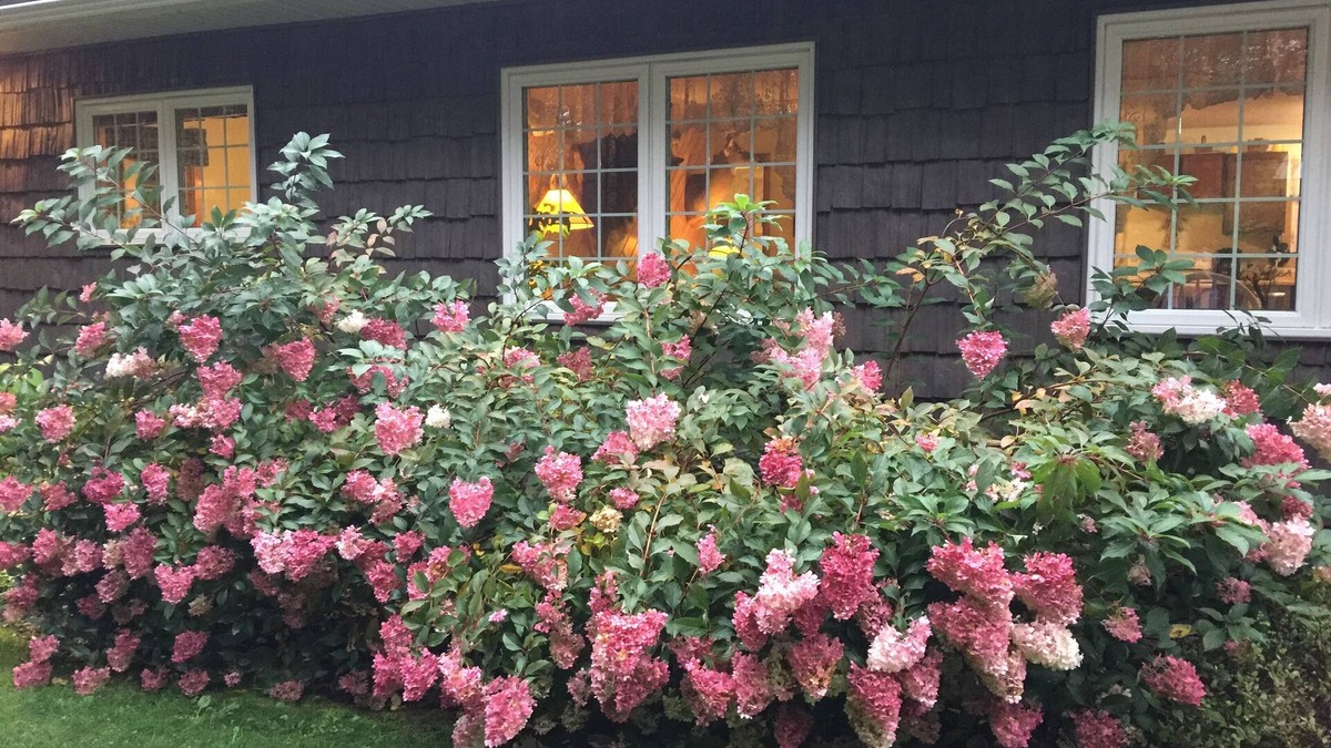 Wetmore House | Upscale north woods Cabin in Hiawatha National Forest near Pic Rocks!Snowmobile!