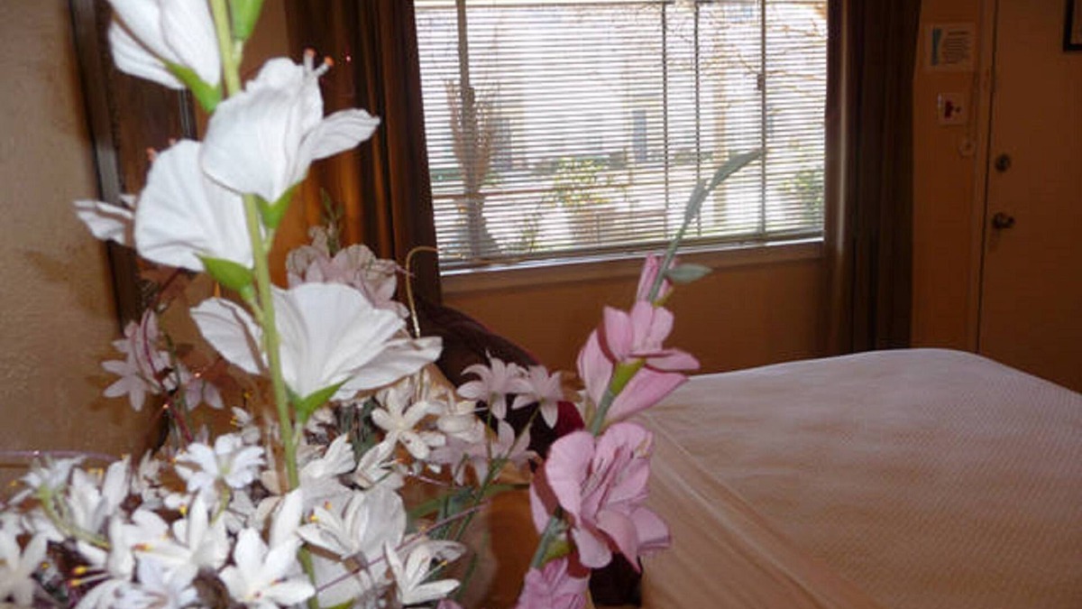 Knox - Henderson Apartment | Uptown Dallas – Charming Studio 1B, WiFi, Parking, Near Restaurants & Shops
