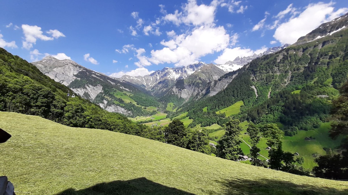 Elm House | Uriges Chalet, Ideal für Familien und Gruppen bis 6 Personen