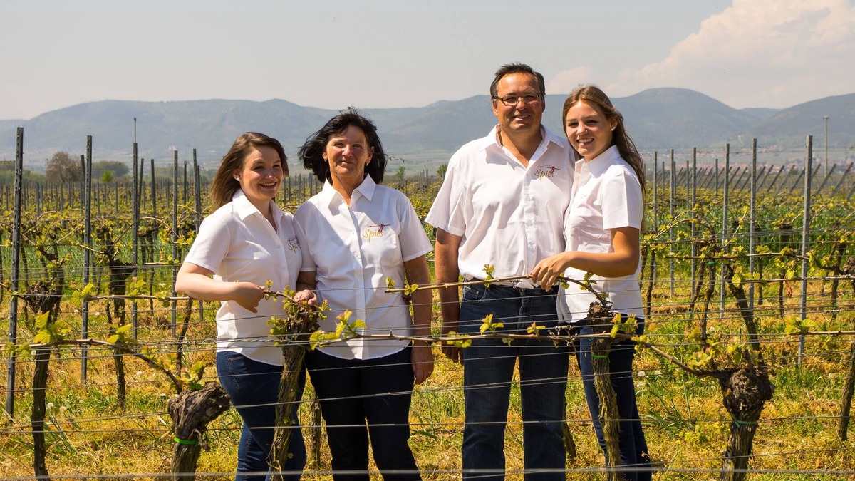 Neustadt-Duttweiler Apartment | Urlaub in Einem Weingut. Hautnah die Arbeit Eines Winzers Miterleben