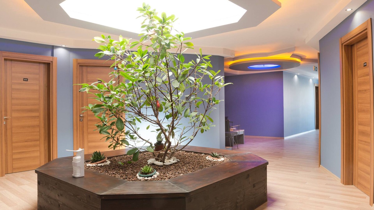 Iskele Mahallesi House | Urla My Rooms
