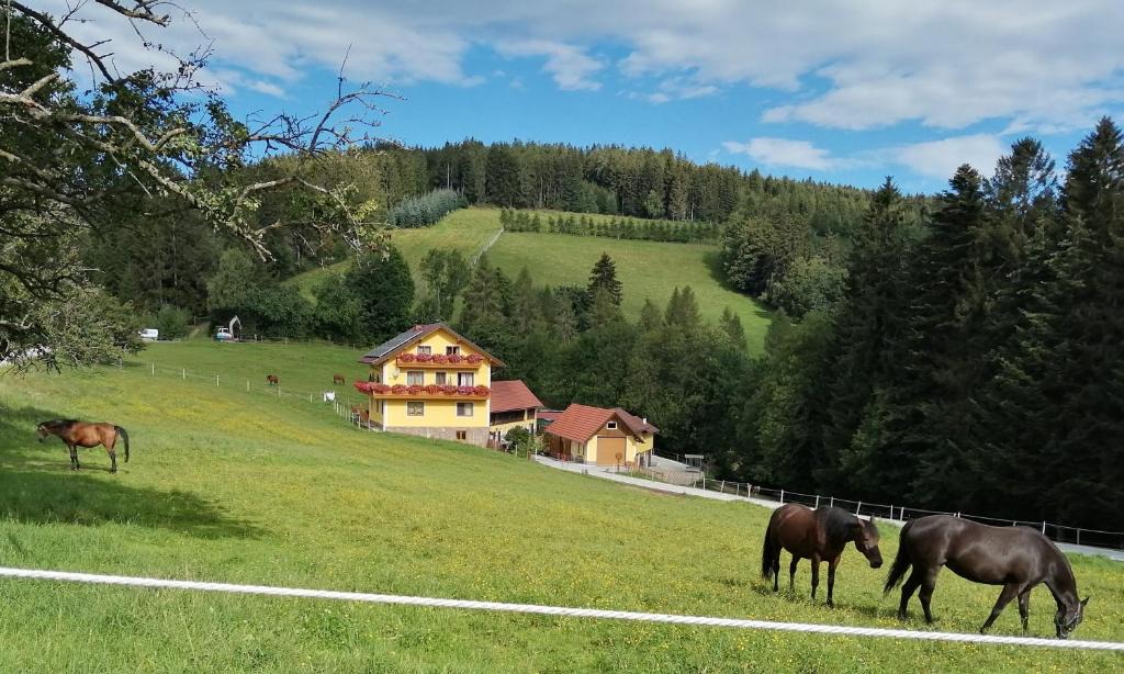 Sonnhofen House | Urlaub am Bauernhof, Familie Kitting
