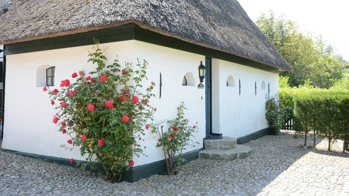 Midlum House | Urlaub Unter Reet für Aktive Paare , Gerne Auch mit Kind und Hund!